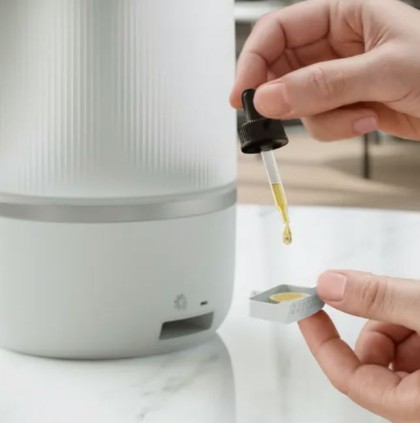 DISCHETE PENTRU AROME PHILIPS  FY5100/00